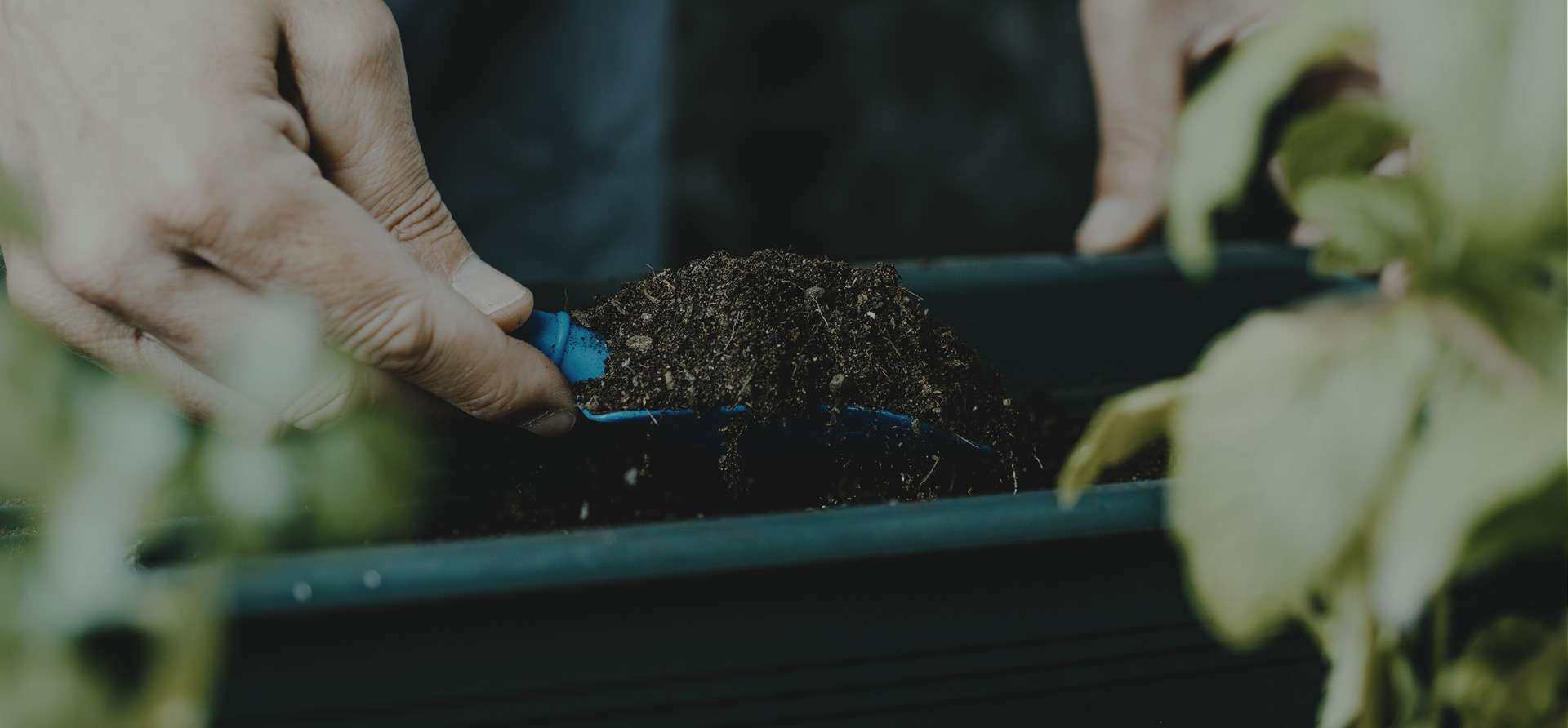 科技文化融合创新