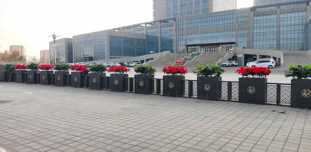 2022.2.11新疆库车市经济技术开发区-百事千秋