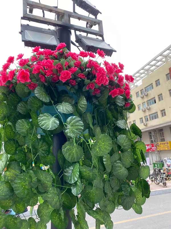 河北省衡水市灯杆景观提升项目案例！