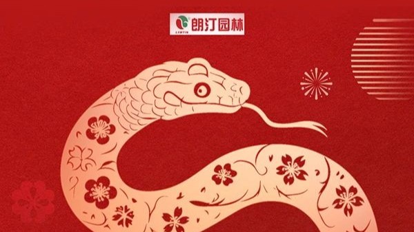 【朗汀集团春节放假通知】