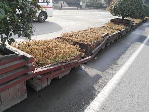 51964f404e12e597169f9cc1011a435b