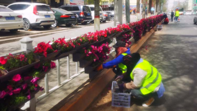 广西南宁市政道路铝合金组合花箱和护栏花盆案例