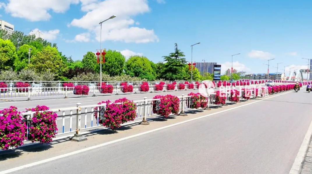 移动花箱护栏提升市政道路景观升级核心之选