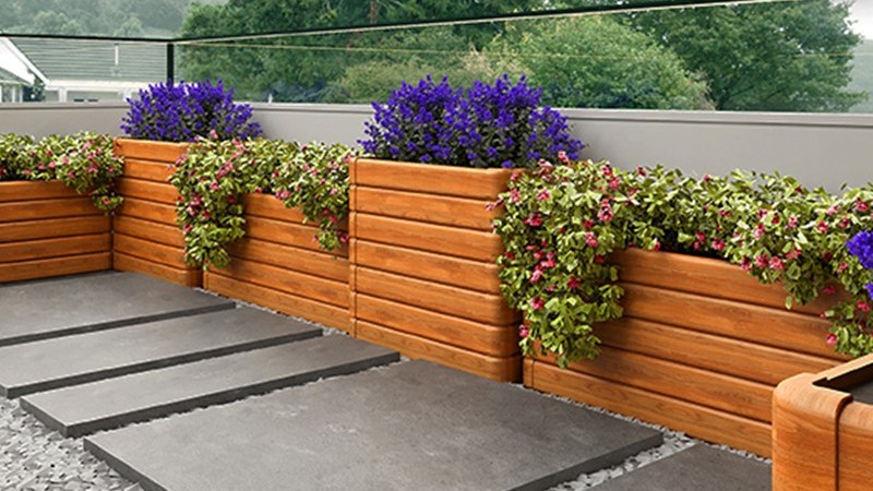 初春户外花箱种植什么绿植好呢？