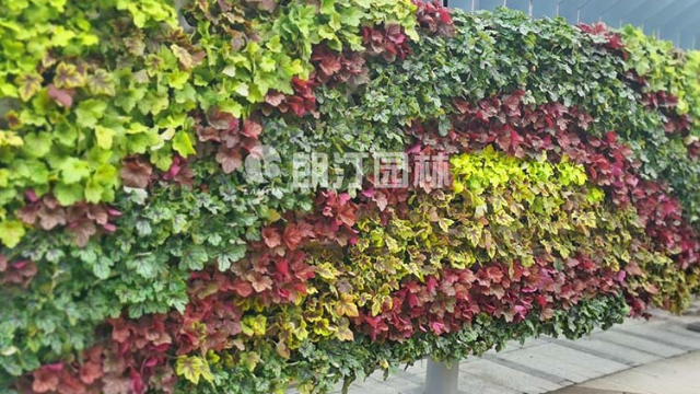 云南昆明景区立体绿化案例