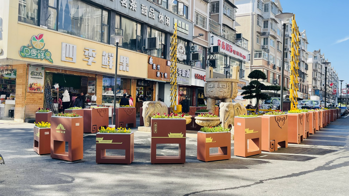 冬季花箱种植什么比较好