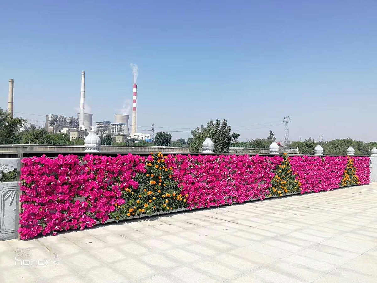 微信图片_201905131134221